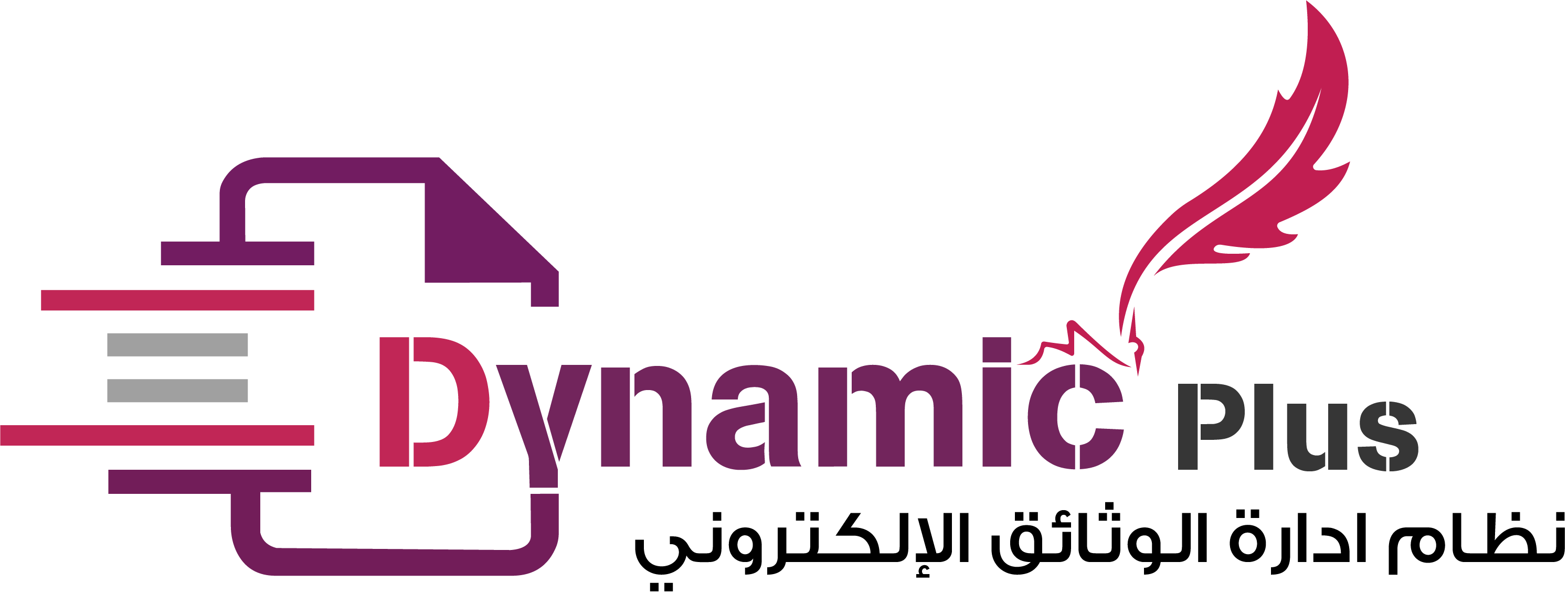 Dynamic Plus